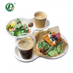 Bandejas e conjuntos de xícaras de café de cana-de-açúcar para fabricação de alimentos e bebidas (OEM)