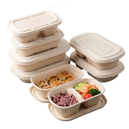 Bagasse Boxes