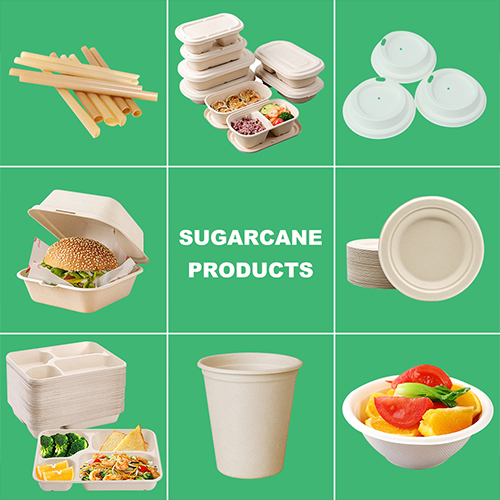 sugarcane food container factory 