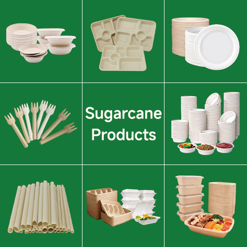 Sugarcane Food Container