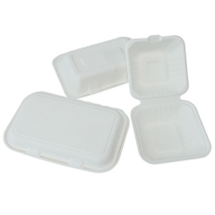 Compostable Bagasse Clamshell Food Container Wholesale Sugarcane Takeout Box Manufacturer