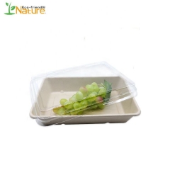Vassoio per sushi in polpa di bagassa di canna da zucchero per imballaggio alimentare biodegradabile al 100%