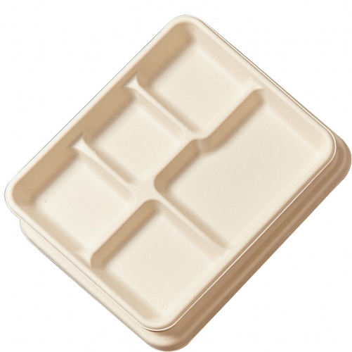 Vassoio di canna da zucchero per alimenti compostabile da pranzo in polpa di bagassa ecologica a 5 scomparti