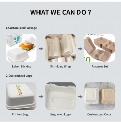 100% Biodegradable Takeaway Rectangle Hot Dog Sugarcane Box