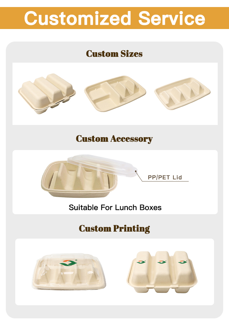 bagasse hinged taco box wholesale