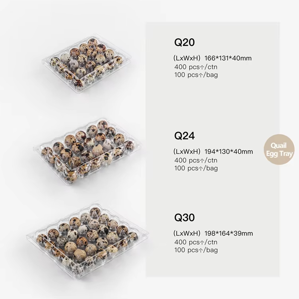 Fabricante de cartones para huevos de codorniz