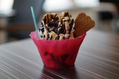 Biodegradable Freezer Safe Ice Cream Containers