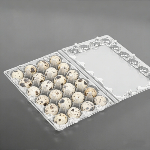 Bulk Clear PET Plastic Quail Egg Carton for Farm Egg Packaging