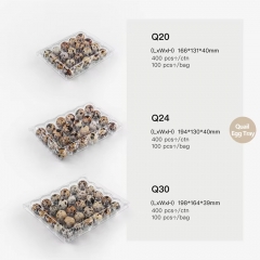 Cartón de plástico PET transparente a granel para huevos de codorniz para envasado de huevos de granja.