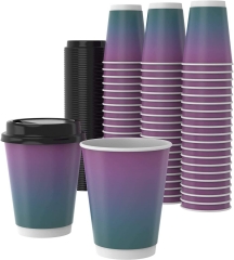 Beverage Use Double Wall Paper Cup 100% Compostable