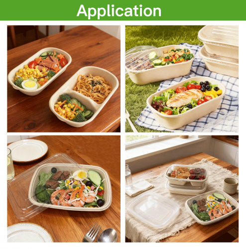 900ml/1000ml/1200ml Sugarcane Bagasse Food Container – Compostable Takeaway Box