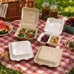 Sugarcane Bagasse Clamshell Boxes 6