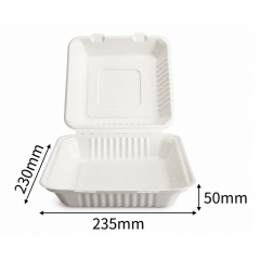 Sugarcane Bagasse Clamshell Boxes 6