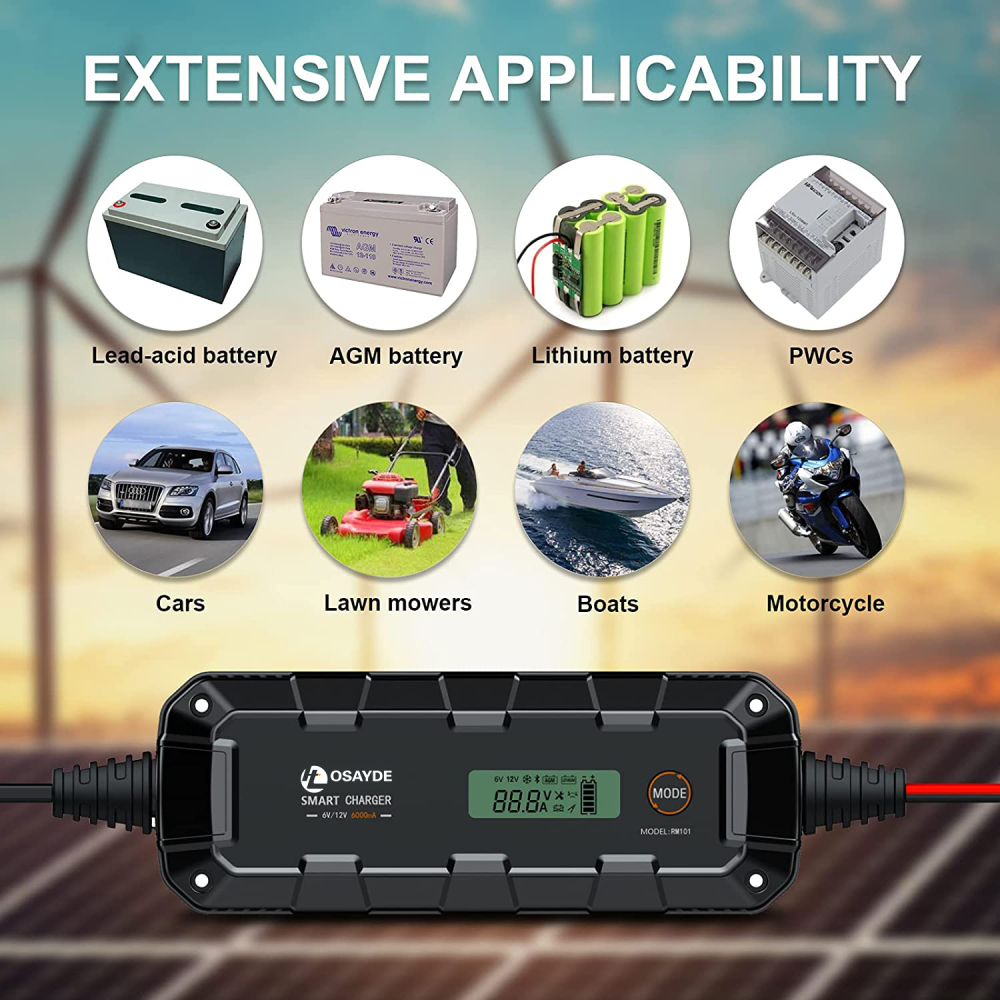 IT OSAYDE Smart Battery Charger, Trickle Chargers and Maintainer, Automotive Charging Accessories with Temperature Compensation, LiFePO4 Deep Cycle Batteries Charger - 6Amp, 6V/12V