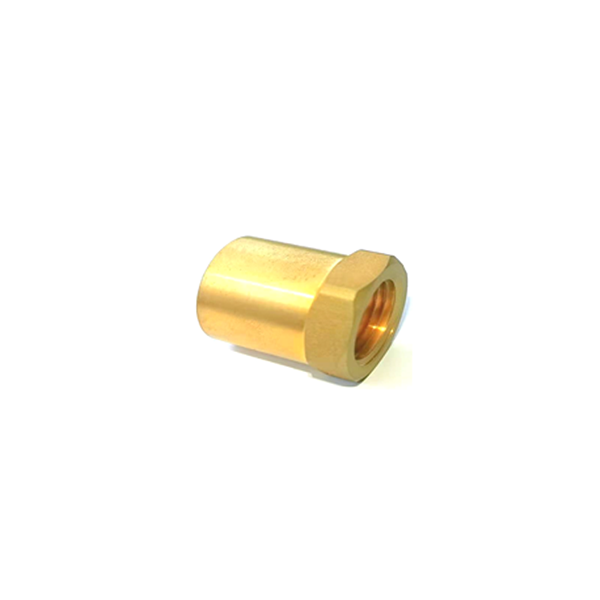 Adapter Fitting (FTG x FPT)