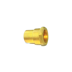 Female Adapter (C x FPT)