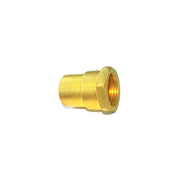 Female Adapter (C x FPT)