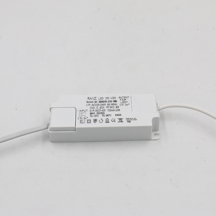 LED Lighting Power Supply 700ma 30W Constant Current LED Driver
