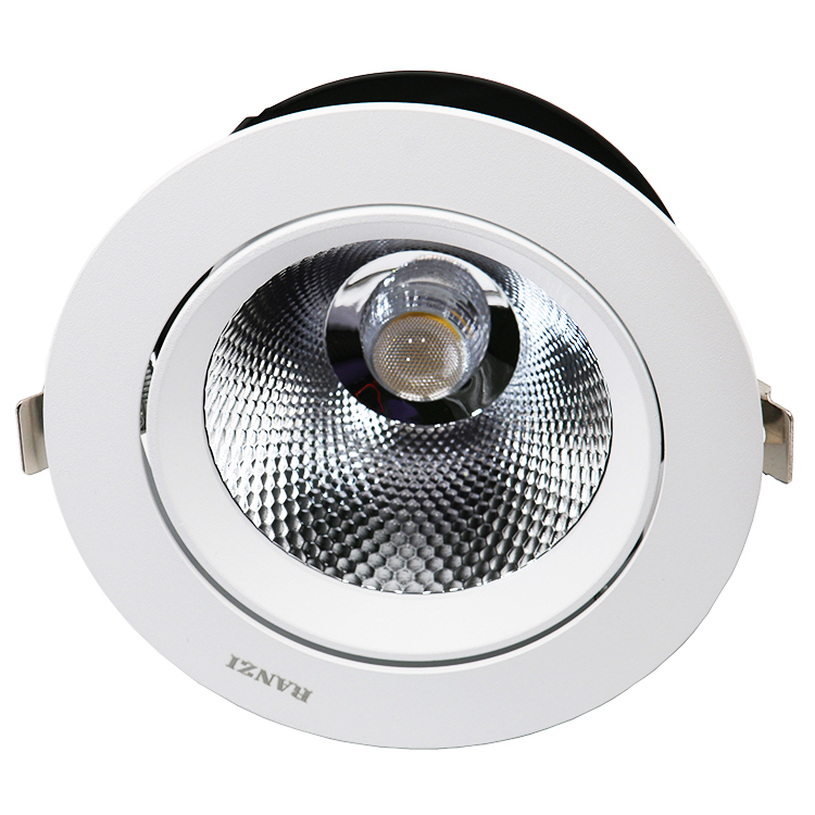 Hotel Commercial Ceiling Spot Lighting Die-casting Aluminum Housing COB LED Downlight With Dali Driver