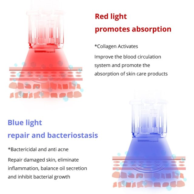 Blue Red LED Therapy Derma Microneedling Pen