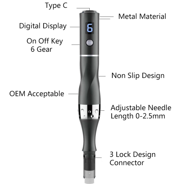 Beauty Equipment Derma Roller Anti Hair Loss Scar Stretch Mark Spot Large Pore Type C Battery Serum 6 Gear Derma Pen