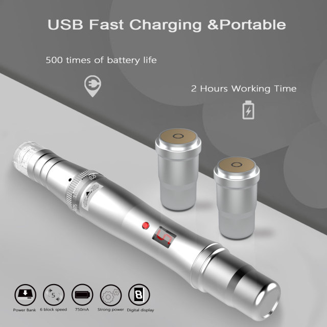 Strong Power 5 Speed USB Battery 2in1 LCD Display Adjustment Needle Length 12pin Nano Adjustable Liquid Output Cartridge Delivery Derma Hydra Aqua Pen