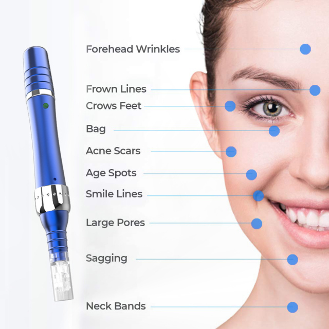 2 In 1 Main Powered and Battery Powerd Microneedling Dr Derma Pen with Medical CE FDA