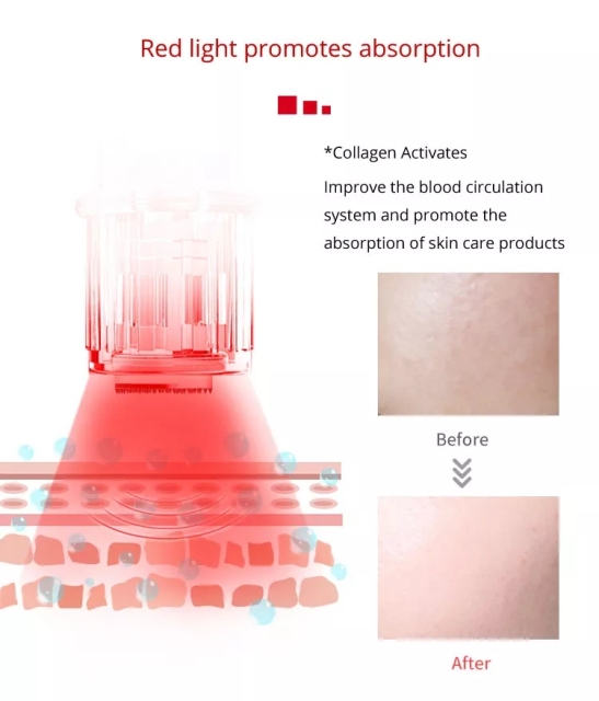 Beauty Equipment LED Salon Home Microneedle Derma Pen for Skin Model R9