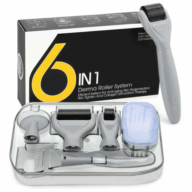 12pins 300pins 750pins 2000pins 6in1 Micro Needle Derma Roller for Face and Body