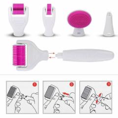 12pins 300pins 750pins 2000pins 6in1 Micro Needle Derma Roller for Face and Body