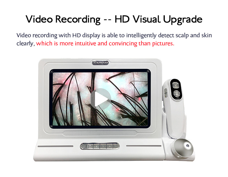 3D 11 Inch Screen Hair Diagnosis Analyzer Skin All in 1 Machine Four-Spectral UV Light Facial Skin Analyzer