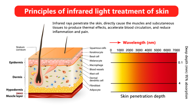 Factory 1000W Pain Relief Improves Blood Flow Health Lamp Red Near Infrared LED Light Therapy Panel