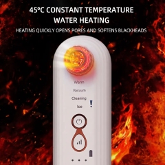 Facial Acne Vacuum Bubble Blackhead Remover Ultrasonic Cleansing Pore Cleaning Hydra Peeling Device