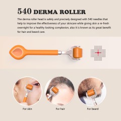 Multifunctional All in 1 Beauty Tool Kit 540 Derma Roller Ice Roller Small Eye Roller Scream Spoon Tweezer White Pink Jade Roller