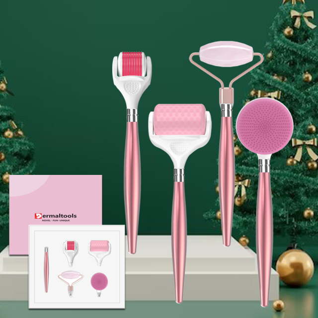 H40 Custom Jade Roller Derma Roller Ice Roller Facial Brush Skin Care Kit Dermaltools Beauty Gift Set