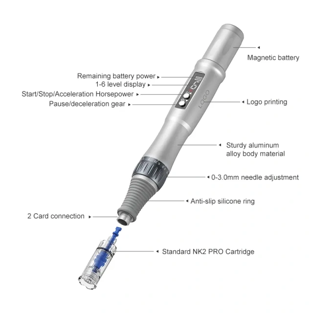New 2025 Multifunctional Derma Pen with Two Magnetic Batteries Charge F10