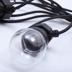 Clear globe warm white led festoon lights G50 bulb