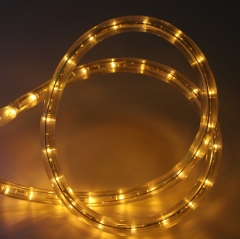 IP65 led rope lights 100m 36leds