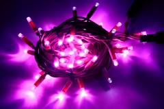 wendadeco hot sale PVC rubber led String Lights Flashing outdoor christmas LED String Fairy Light