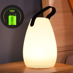 WENDADECO Modern Design Outdoor Portable Camping Light indoor LED Desk Lamp Decorating USB Charging Night Lamp