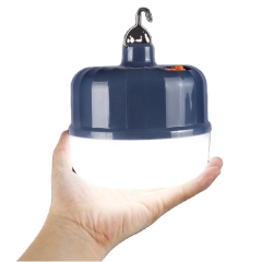 Portable 30W 50W 100W High Power Emergency Lighting DC 5v Led Camping Bulb Small Rechargeable Led Light Bulbs With hook