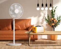 200w 300w 500w Power station system