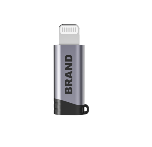 USB C to Lightning adapter
