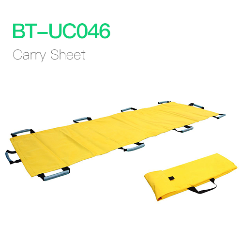 Carry Sheet