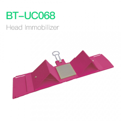 Head Immobilizer