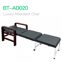 Luxury Attendant Chair