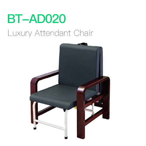 Luxury Attendant Chair