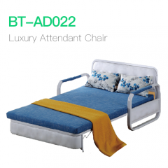 Luxury Attendant Chair