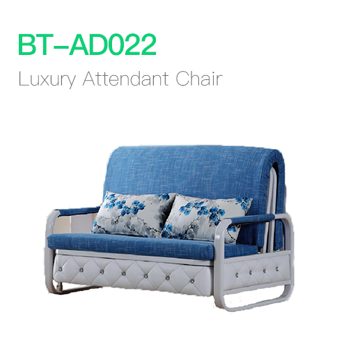 Luxury Attendant Chair