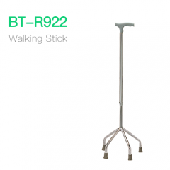 Walking Stick